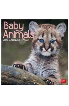 calendario 2027 pared 30x30 baby animals legami-8052694130022