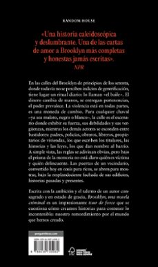 brooklyn, una novela criminal-jonathan lethem-9788439745082