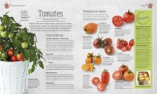 de la maceta al plato: cultiva hierbas, frutas y verduras dentro de casa-9780241301005