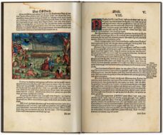 the luther bible of 1534 (texto original en aleman aparato critic o en ingles)-9783836538305