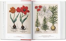 Imagen Secuandaria de A Garden Eden. Masterpieces of Botanical Illustration. 45th Ed.. Abrir galería completa.