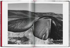 genesis salgado (ed.bolsillo. inglés)-sebastian salgado-9783836594011