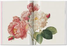 redoute. roses-h. walter lack-9783836596213
