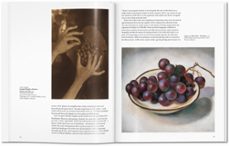o'keeffe-britta benke-9783836542319
