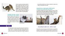 gatification-kate benjamin-jackson galaxy-9788417338121