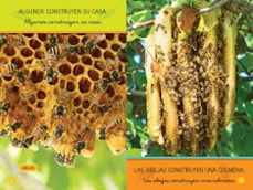aprende a leer con national geographic (prelectores) - casas de animales-shira evans-9788482988221