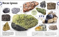 el libro de las rocas y los minerales-9780241537923