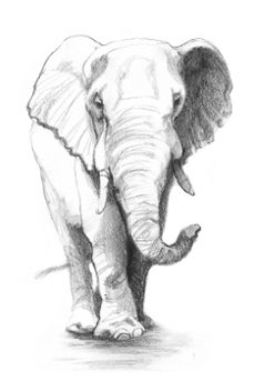 el libro de la selva (alfaguara clásicos)-rudyard kipling-9788420488226