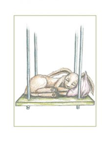 el conejito que quiere dormirse: un nuevo metodo para ayudar a los niños a dormir-carl johan forssen ehrlin-9788448845926