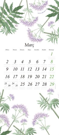 sols. volum 1-fabien velhmann-9791387878030