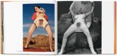 the big book of pussy-dian hanson-9783836521833