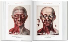 atlas of human anatomy and surgery-esp.bib. universalis-9783836556637