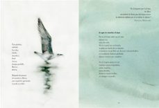 si el mar no regresa-sara buho-9791387761639