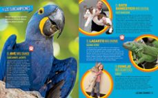 records de mascotas-julie beer-9788482987941