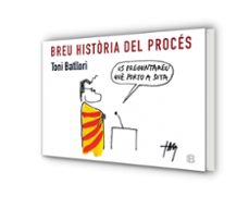 breu història del procés-toni batllori-9788466657143