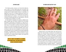 un bicho raro-9791387724344