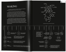 big. formgiving. an architectural future history-bjarke ingels-9783836577045