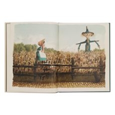 el maravilloso mago de oz-l. frank baum-9788491018148