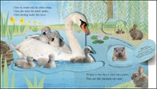 esta es mi casa-9780241469255