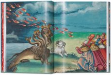 the book of miracles. 45th ed.-till holger borchert-9783836599955