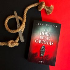 la hora de las gaviotas (serie ane cestero 2)-ibon martin-9788401025655