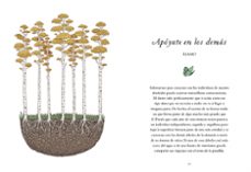 se como un árbol-annie davidson-9788491294856