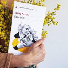 dias sin ti (premio biblioteca breve 2019)-elvira sastre-9788432234958