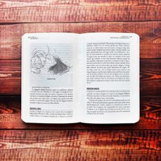 el abc del bushcraft-dave canterbury-9788408269359