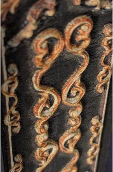 belleza feroz (ed. limitada para coleccionistas)-jennifer donnelly-9788410479364