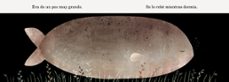 el ladrón del sombrero-jon klassen-9788418133664