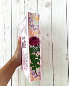 twisted hate (serie twisted, 3)-ana huang-9788408322368