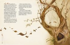 magia. tu cuaderno secreto-sandra ortiz-9788419982469