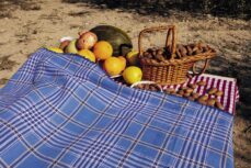 recetas y principios de la cocina vegetariana-teresa carles-9788466663571