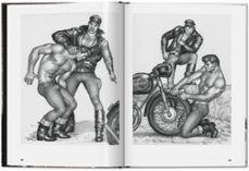the little book of tom finland. ofikers-dian hanson-9783836594172