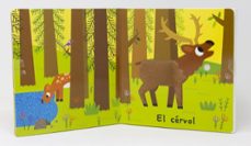 el bosc. toca i escolta-marion billet-9788413894072