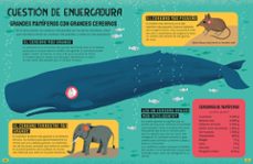 el gran libro del cerebro-9791259570772