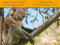 aprende a leer con national geographic (prelectores) - koalas-jennifer szymanski-9788411320573