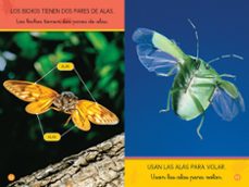 aprende a leer con national geographic (prelectores) - bichos-shira evans-9788482988474