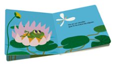 la casa de la granota-mar benegas-9788491019374