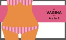 v de vagina: guia completa para la mujer de la a a la z: todo lo que siempre has querido saber: salud, placer, hormonas y mas-alyssa dweck-robin westen-9788416895380