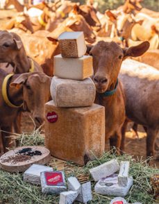 Imagen Secuandaria de Artesanos del queso. Abrir galería completa.