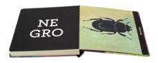 colores: descubre los matices de la naturaleza-joana santamans-9788408263982