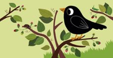 los pajaros: mi primer libro de sonidos-marion billet-9788408263883