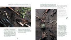 compañía botánica-cecilia bernard-9788417338886