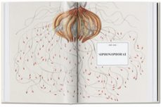 ernst haeckel ; 40th anniversary edition-rainer willmann-9783836584289