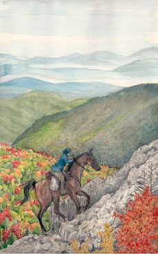 bibliotecarias a caballo-concepcion martinez pasamar-9788412490893