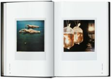Imagen Secuandaria de The Polaroid Book. 45th Ed.. Abrir galería completa.