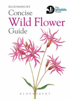 concise wild flower guide-9781472963802