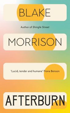 afterburn (ebook)-blake morrison-9781529952902