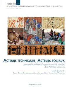 acteurs techniques, acteurs sociaux (ebook)-9782904110702